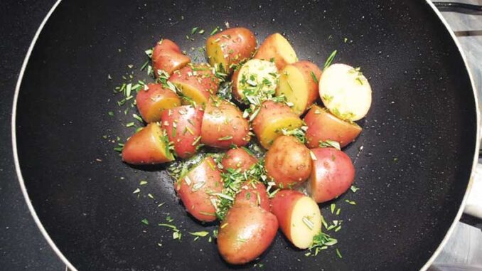 krieltjes